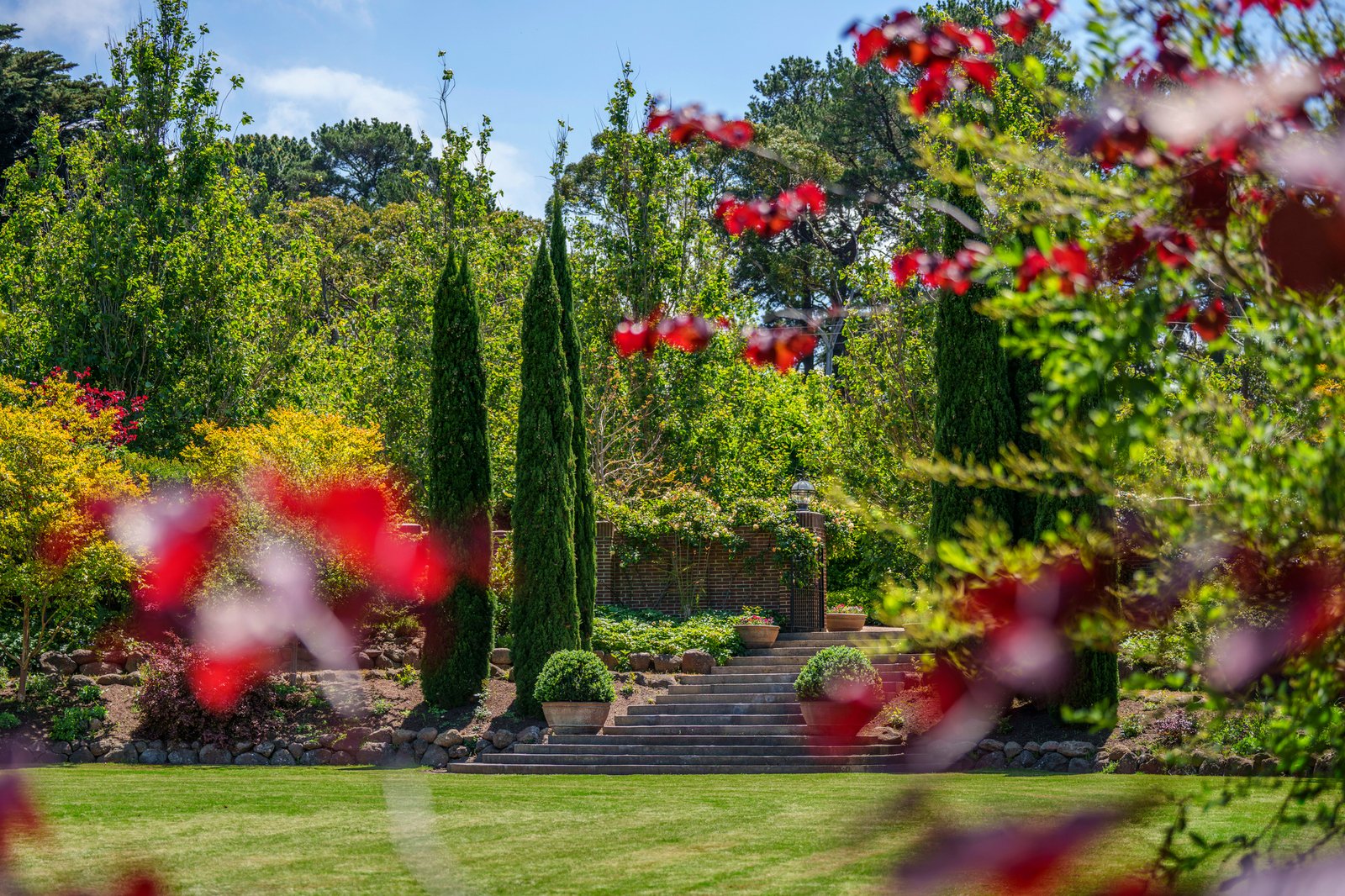 41 Stanleys Road, Merricks, 3916