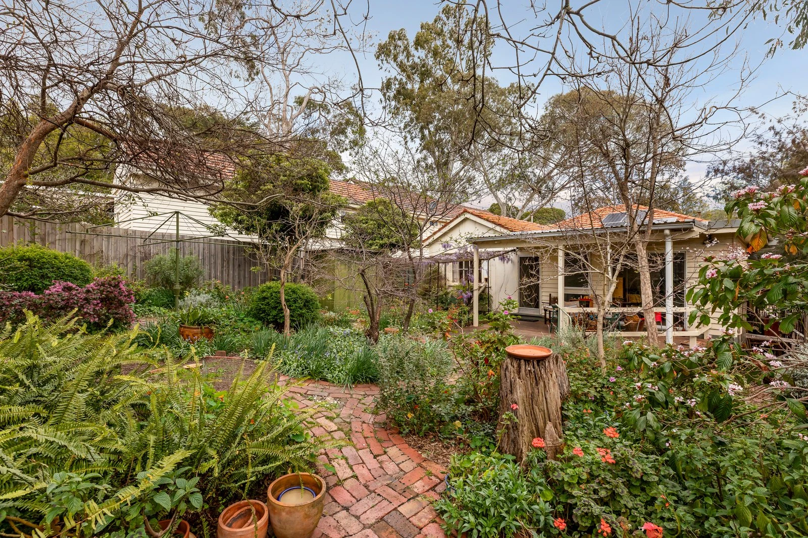 5 Allie Street, Surrey Hills, 3127