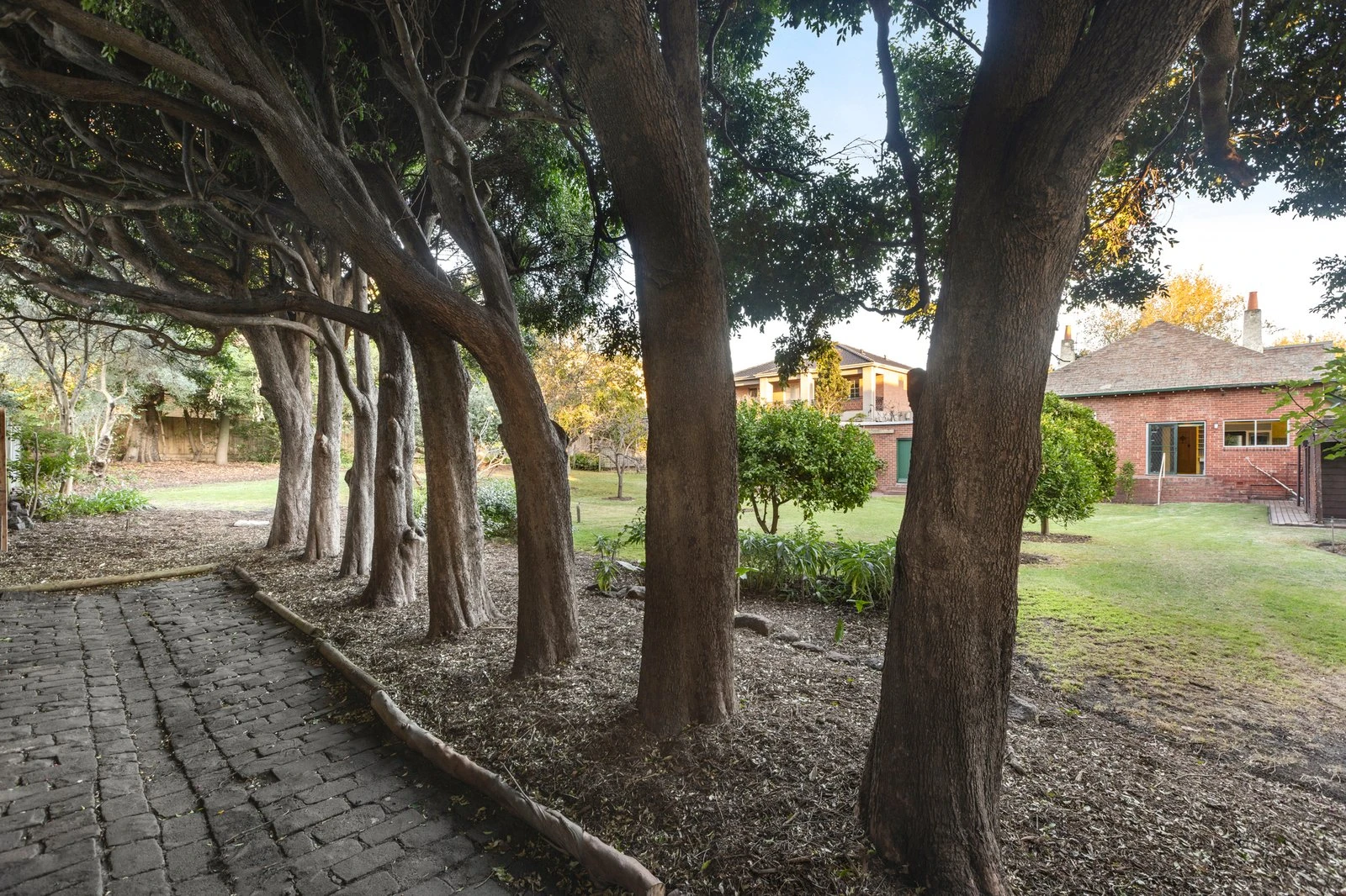 5 Barnato Grove, Armadale, 3143