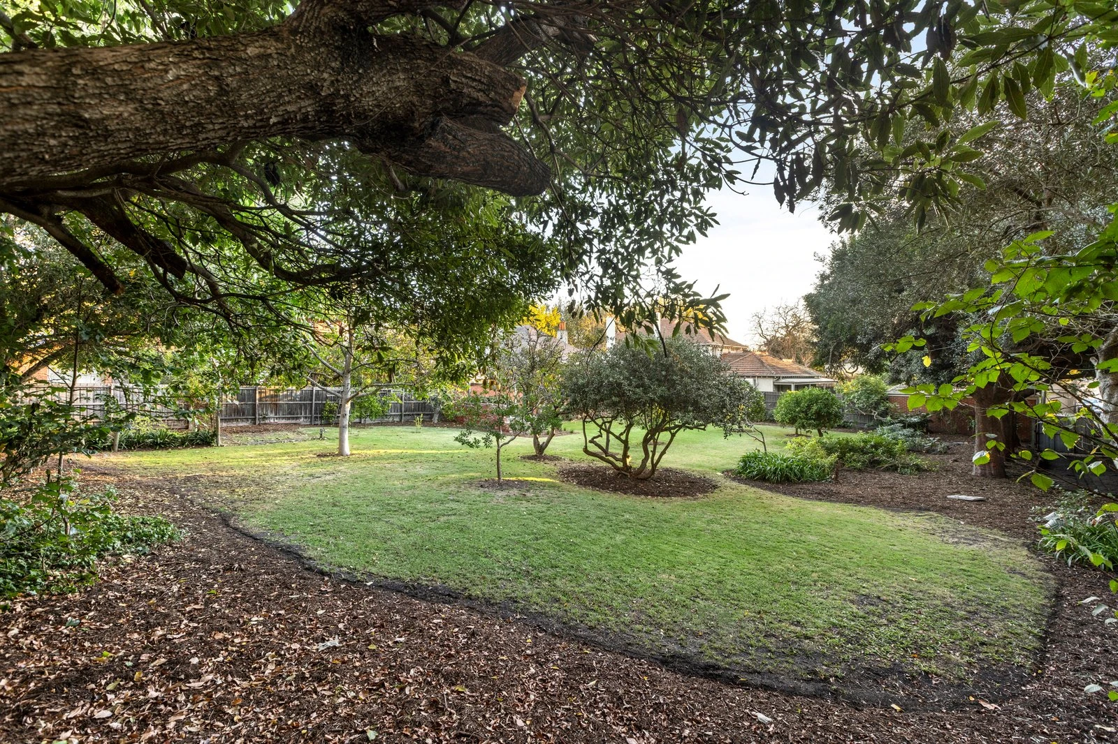 5 Barnato Grove, Armadale, 3143