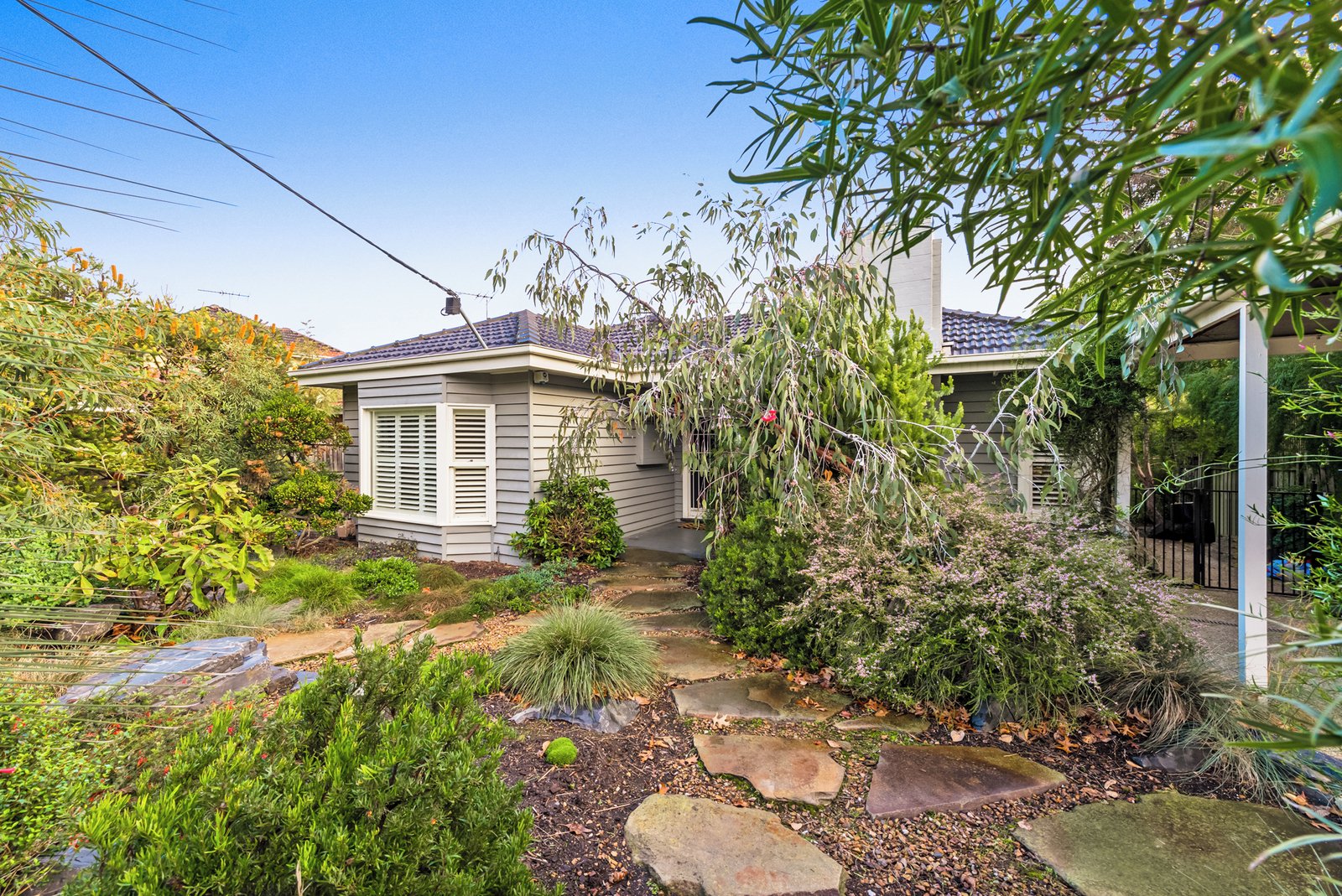 6 Boyle Street, Ashburton, 3147