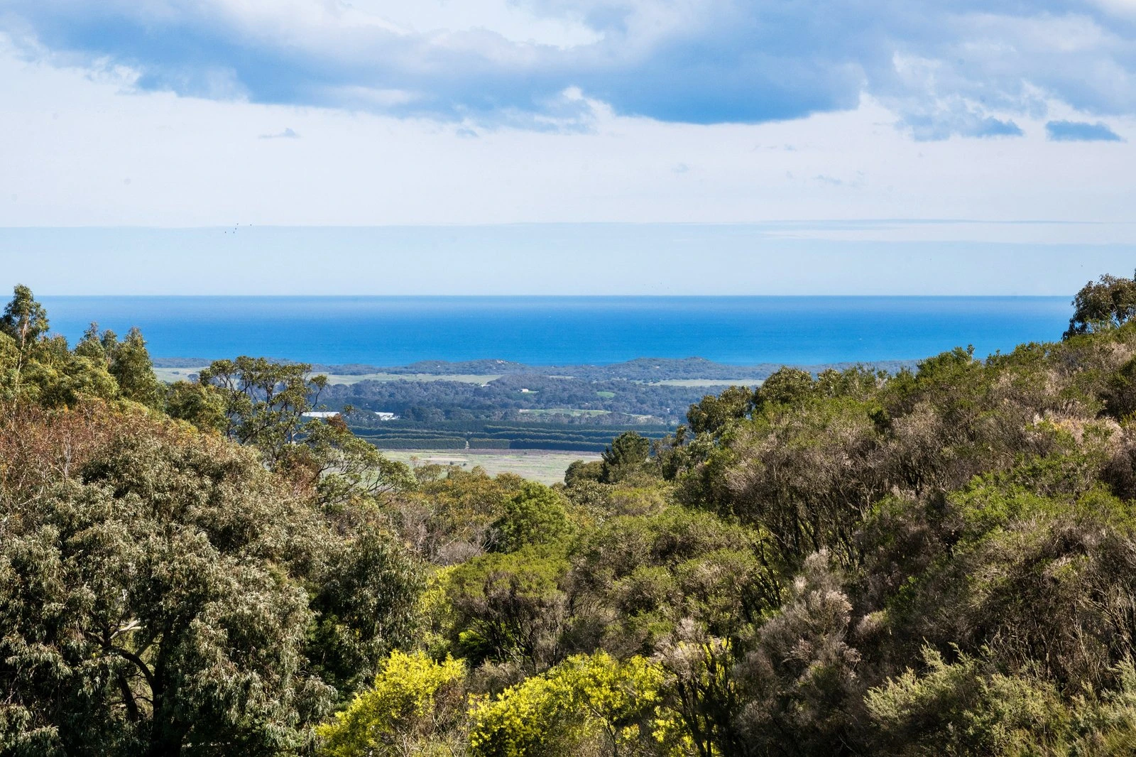 61 Waterfall Gully Road, Main Ridge, 3928