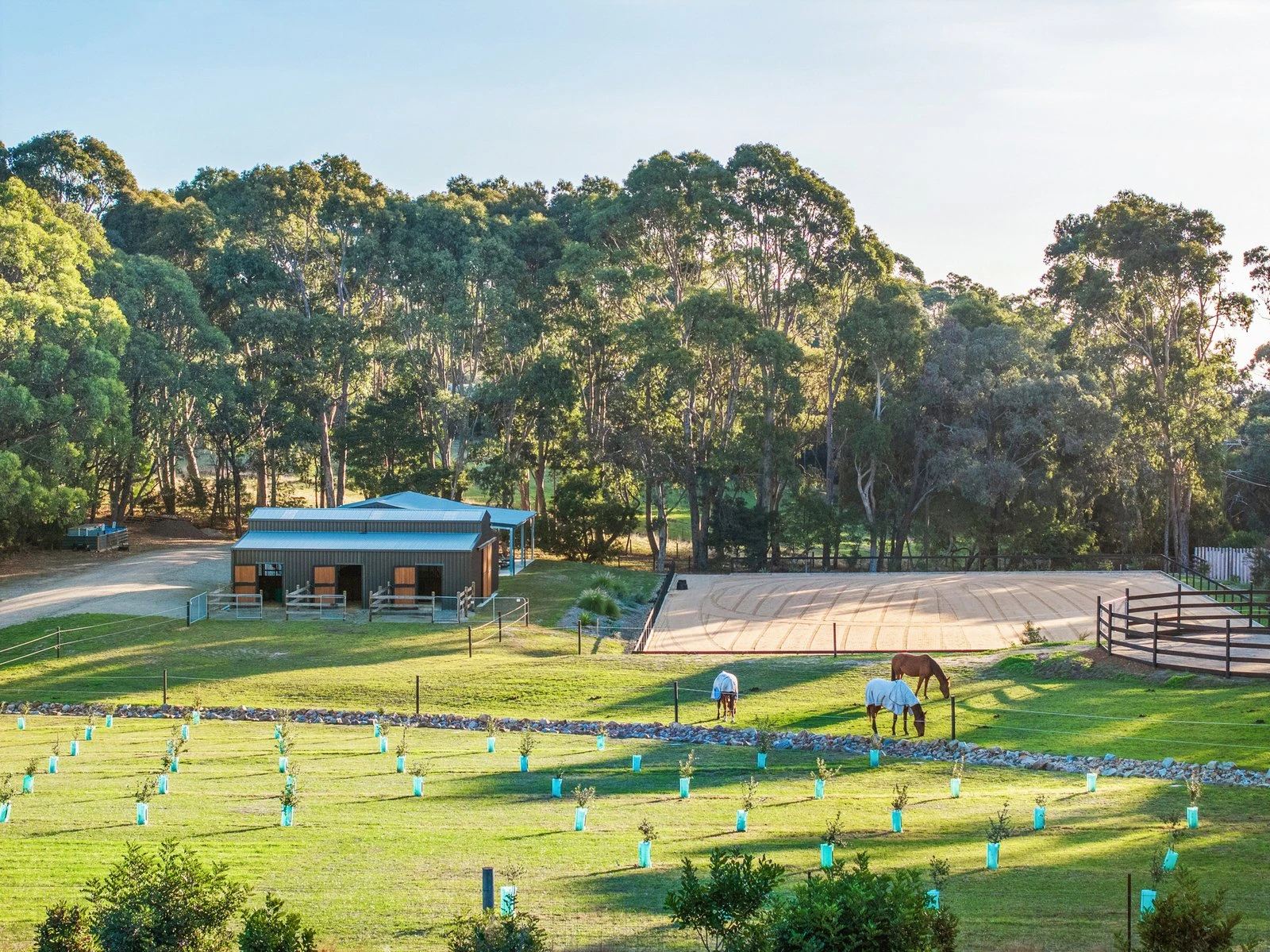 61 Waterfall Gully Road, Main Ridge, 3928