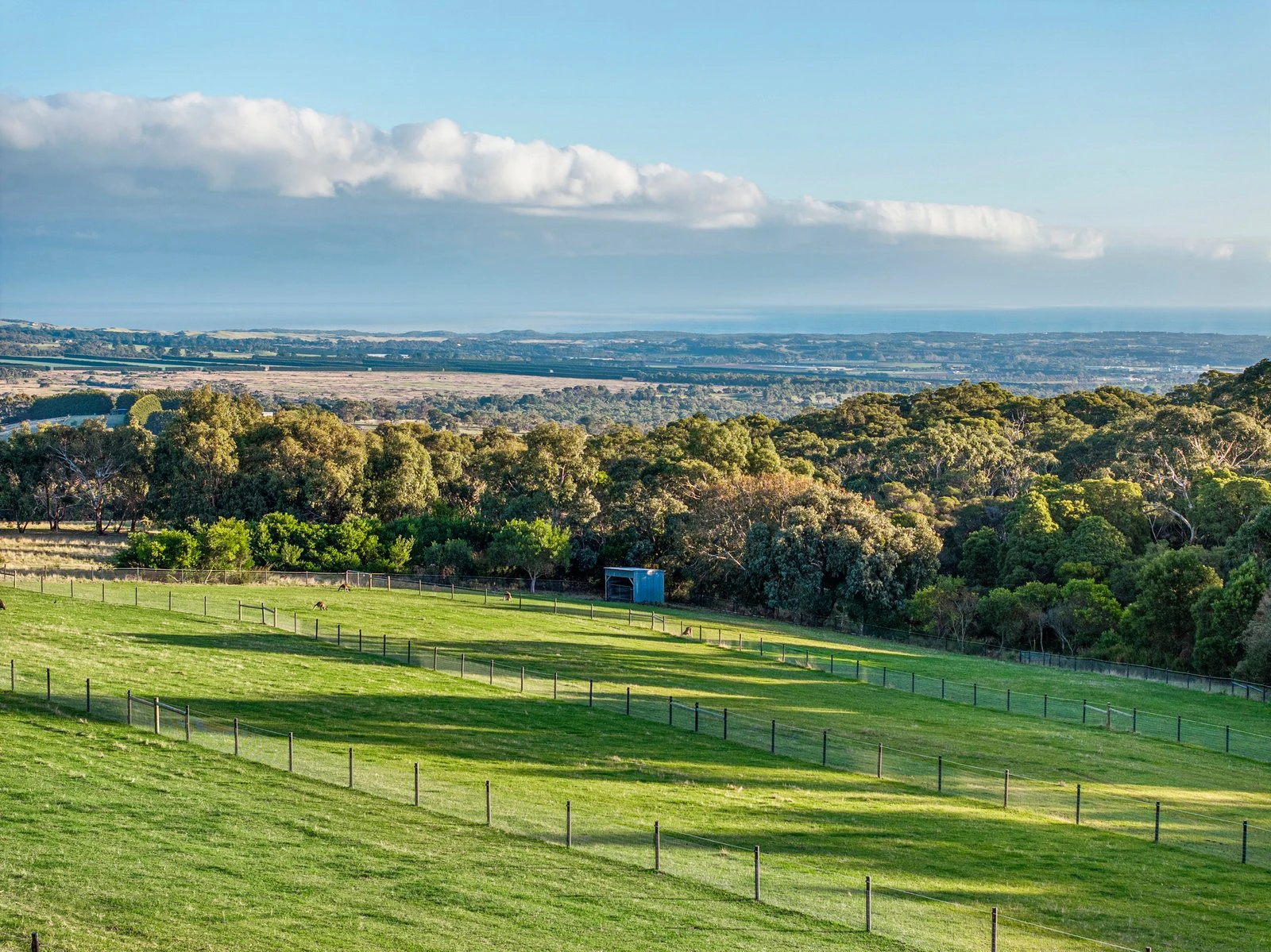 61 Waterfall Gully Road, Main Ridge, 3928