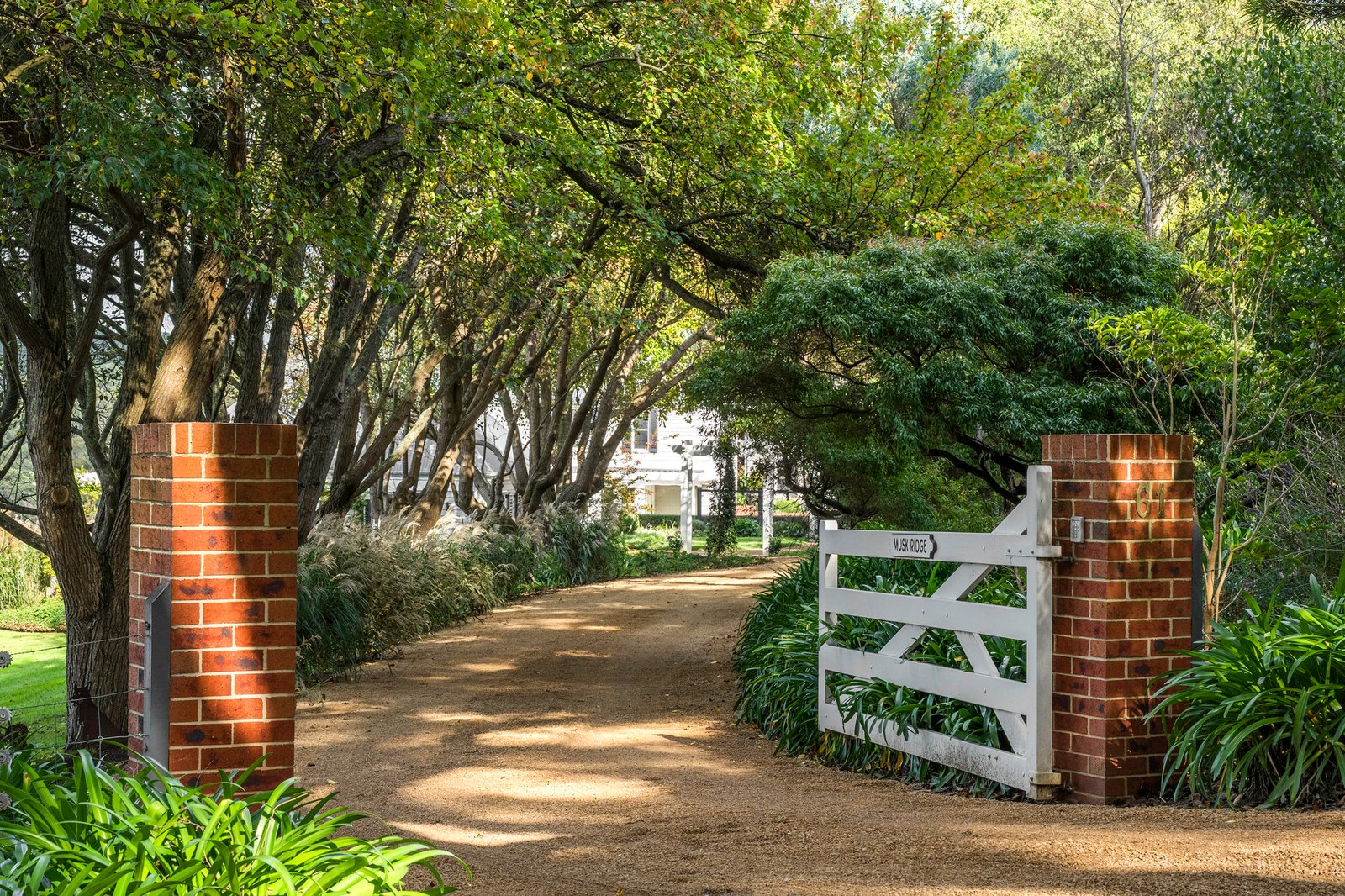 61 Barkers Road, Flinders, 3929