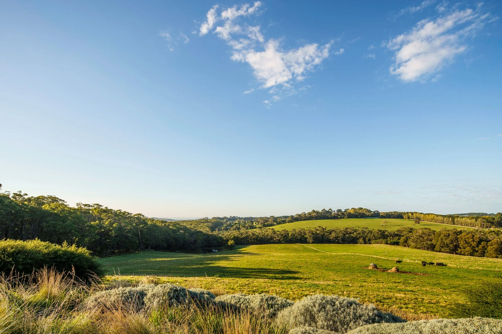 61 Barkers Road, Flinders, 3929