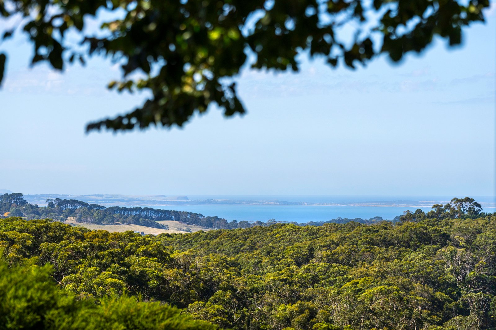 61 Barkers Road, Flinders, 3929