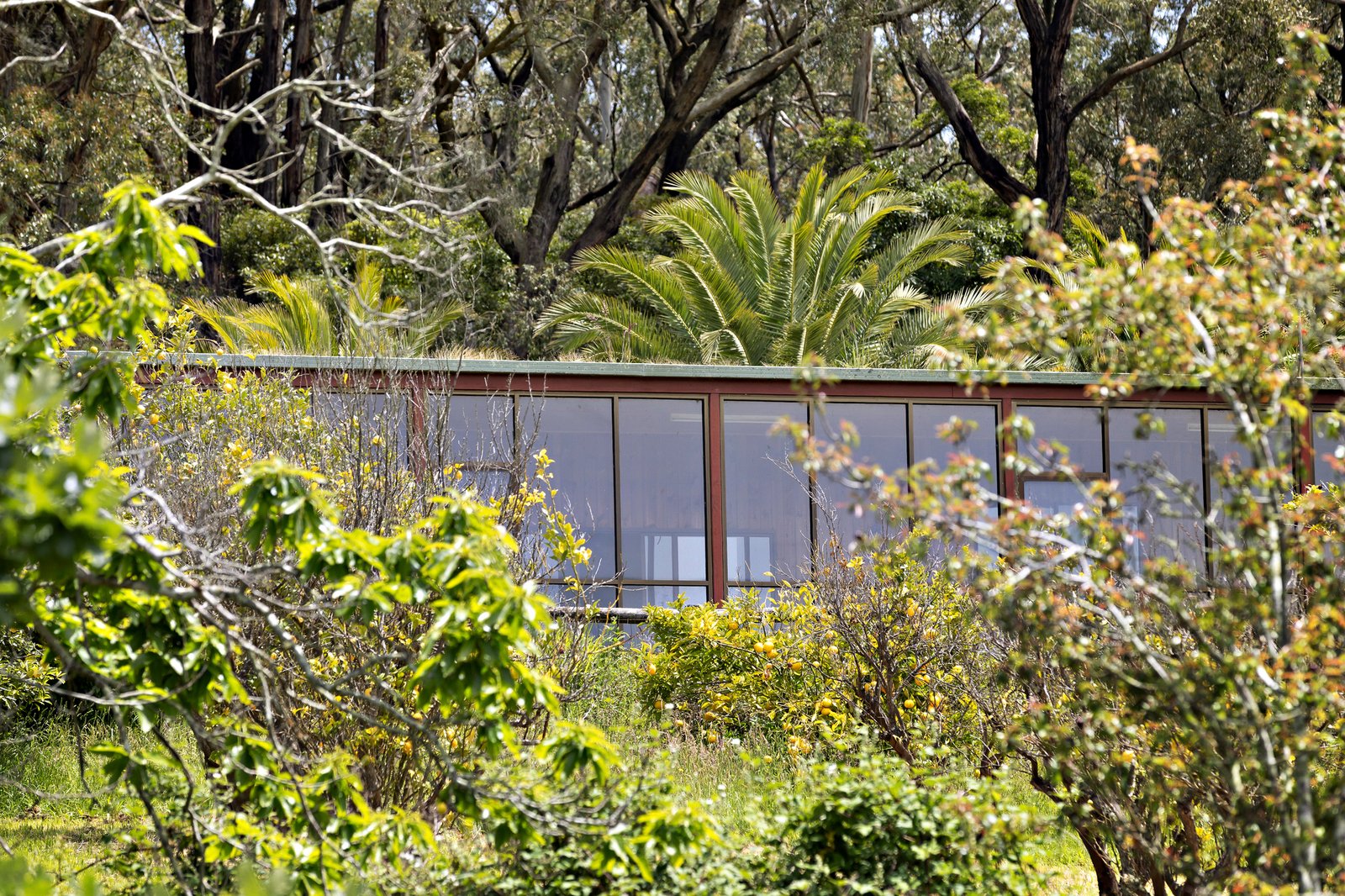 70 Andrews Lane, Red Hill, 3937