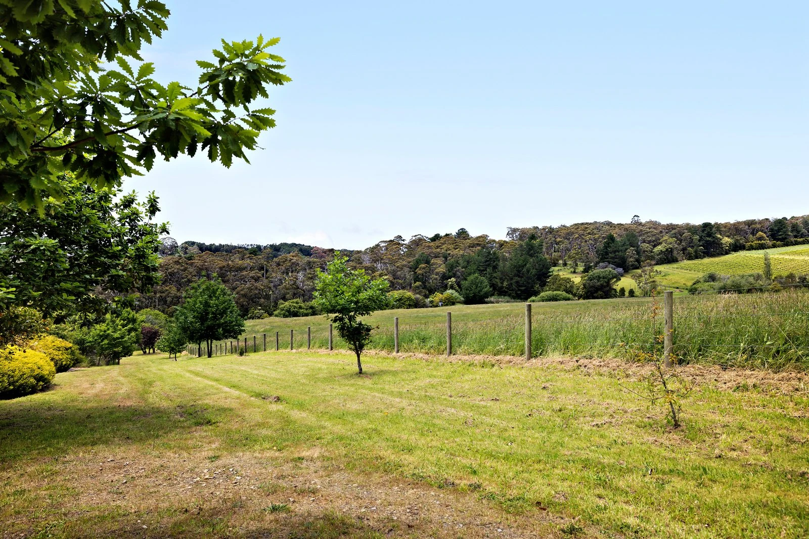 70 Andrews Lane, Red Hill, 3937