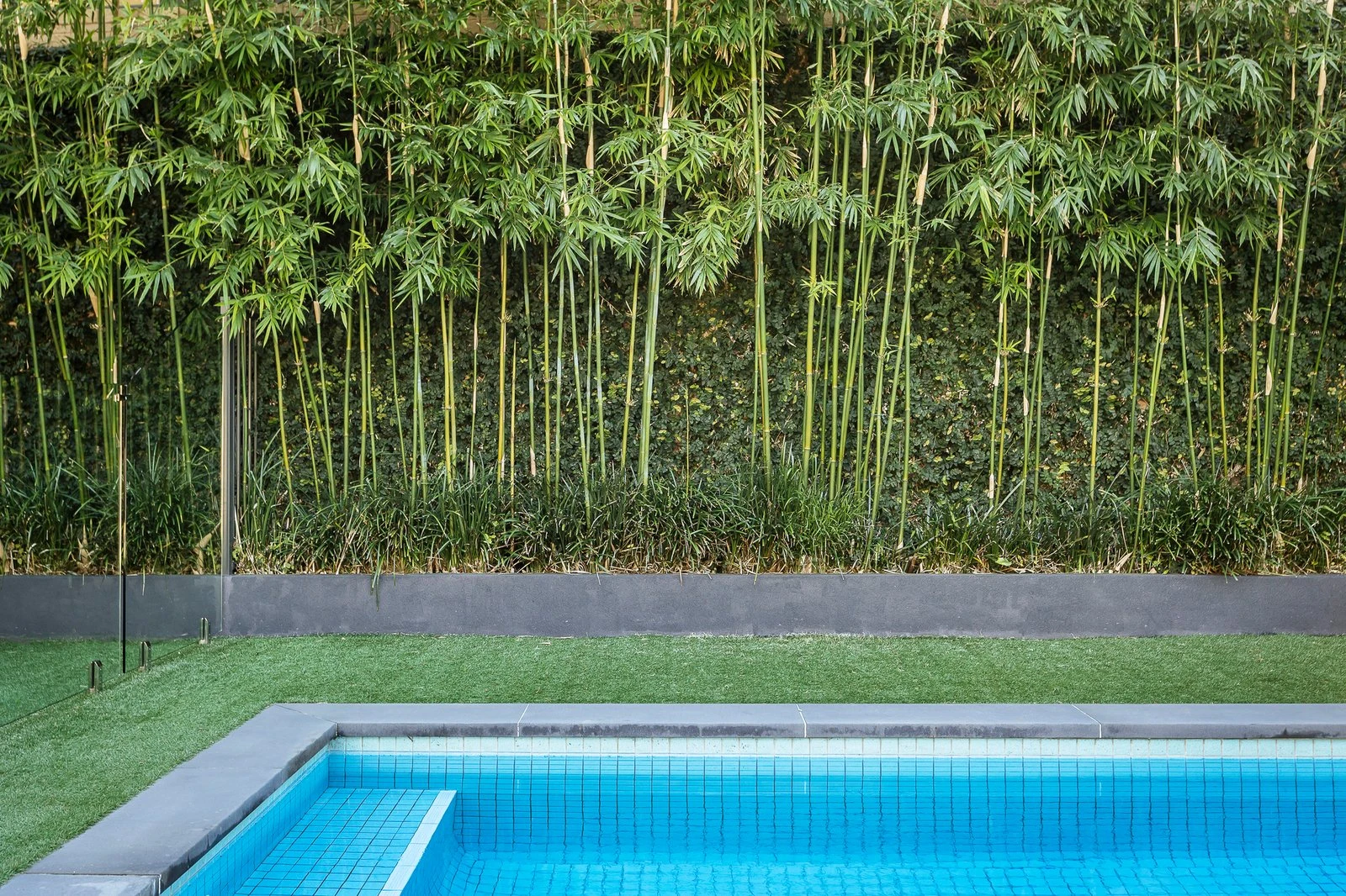 8/20 Yuille Street, Brighton, 3186