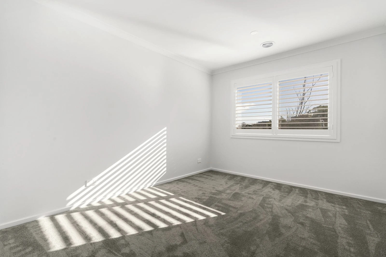 106 Creedmore Drive, Rye, 3941