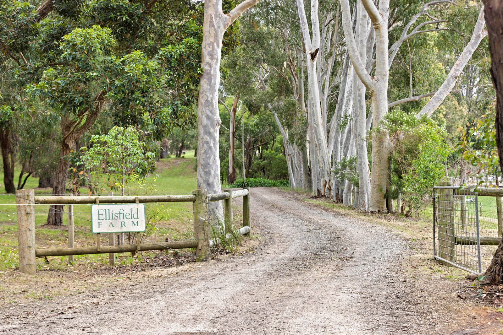 109 Mcilroys Road, Red Hill, 3937