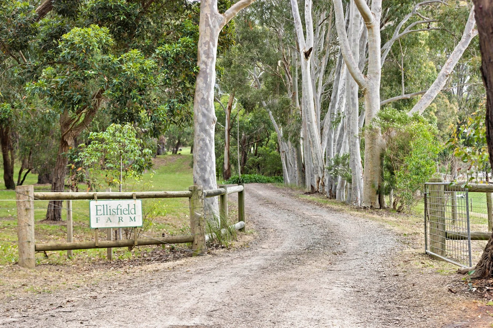 109 Mcilroys Road, Red Hill, 3937