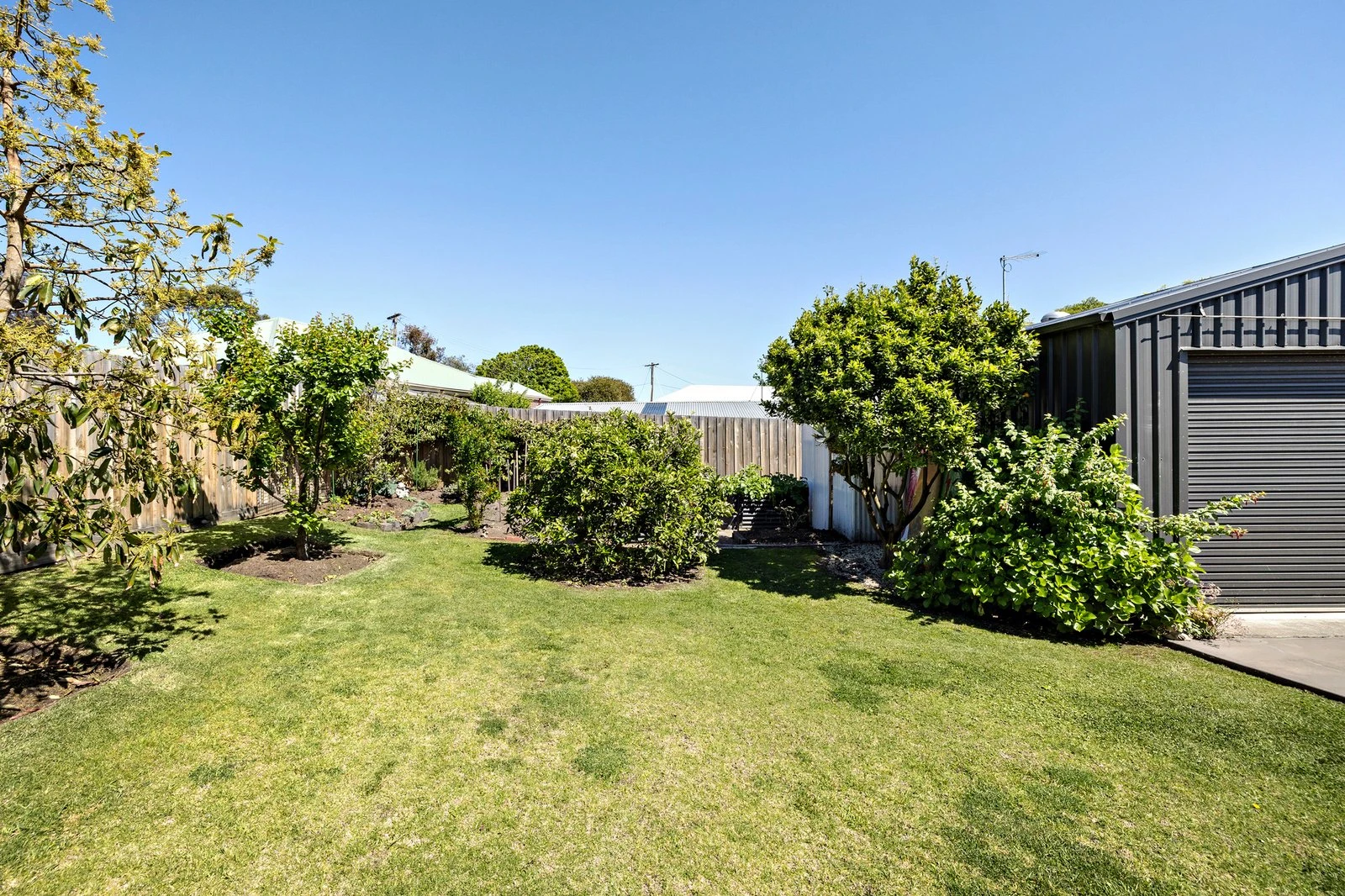 12 Rainier Avenue, Dromana, 3936