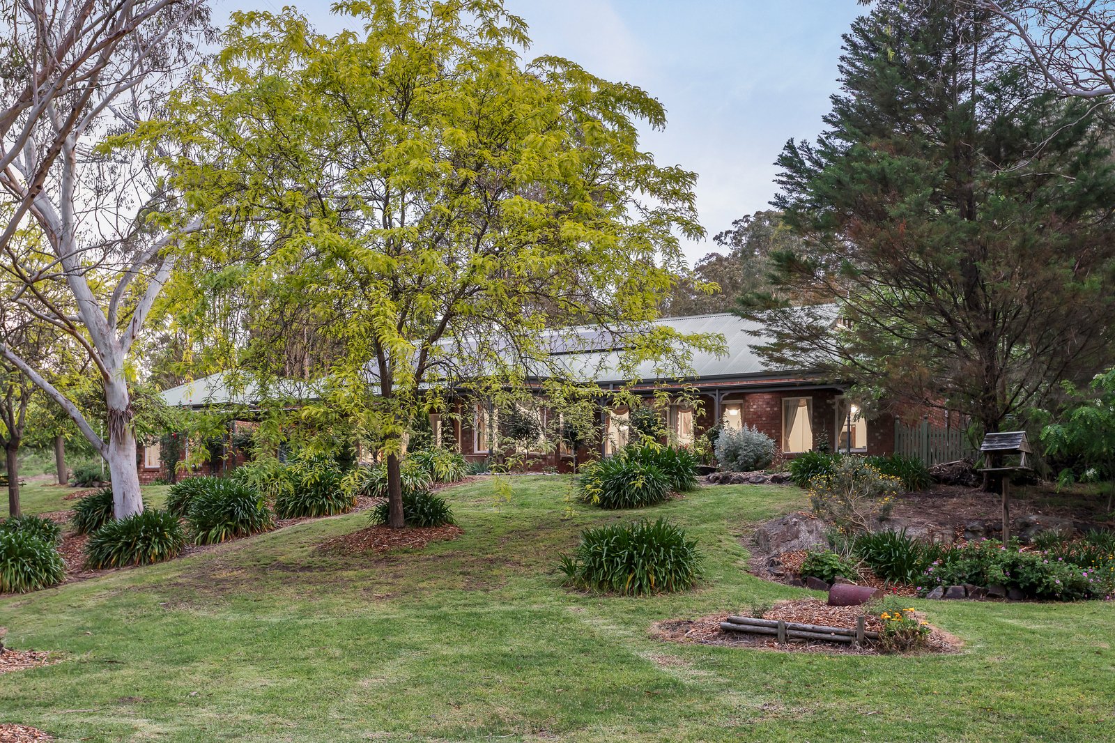 12 Raymond Elliot Court, Park Orchards, 3114