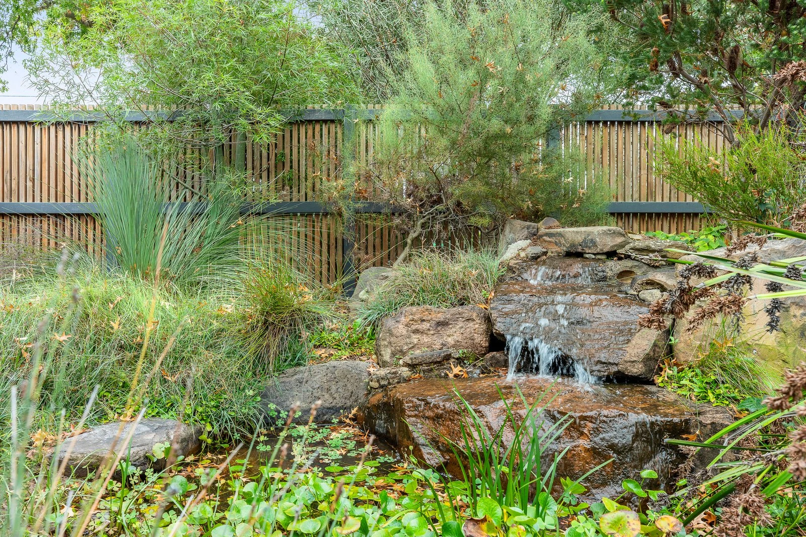 1/38 Belgravia Avenue, Mont Albert North, 3129