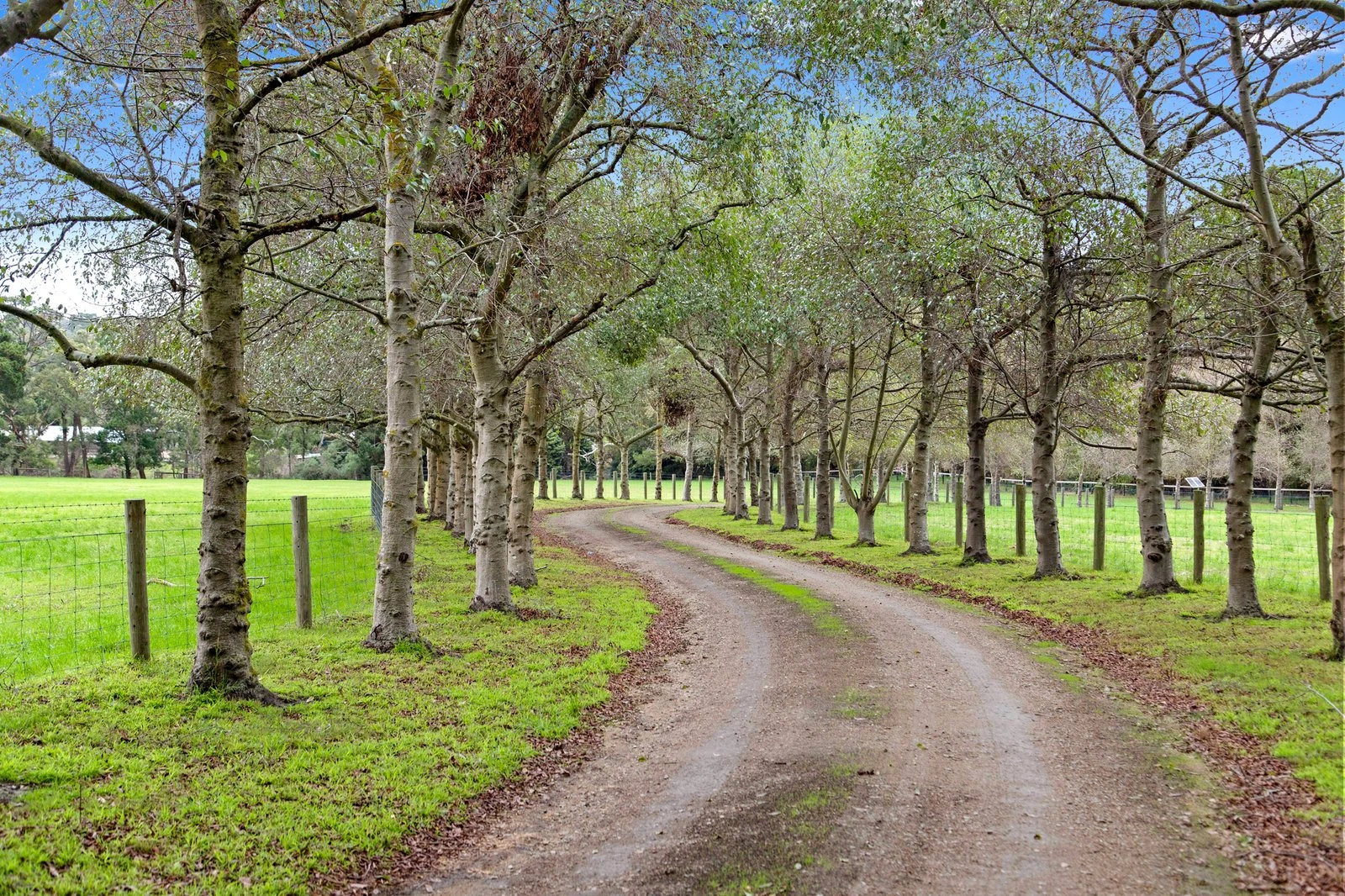 177 Coolart Road, Hastings, 3915