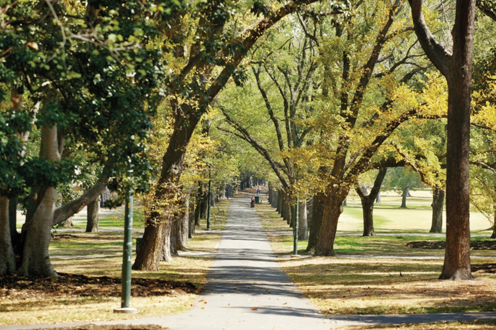 2/20 Commercial Road, Melbourne, 3004