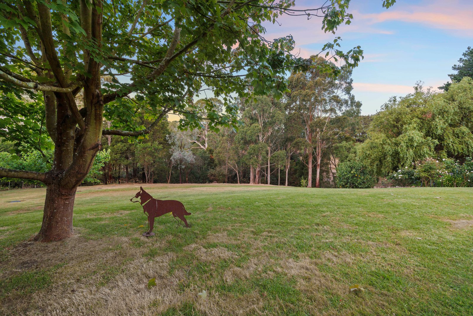 220 Barkers Road, Main Ridge, 3928