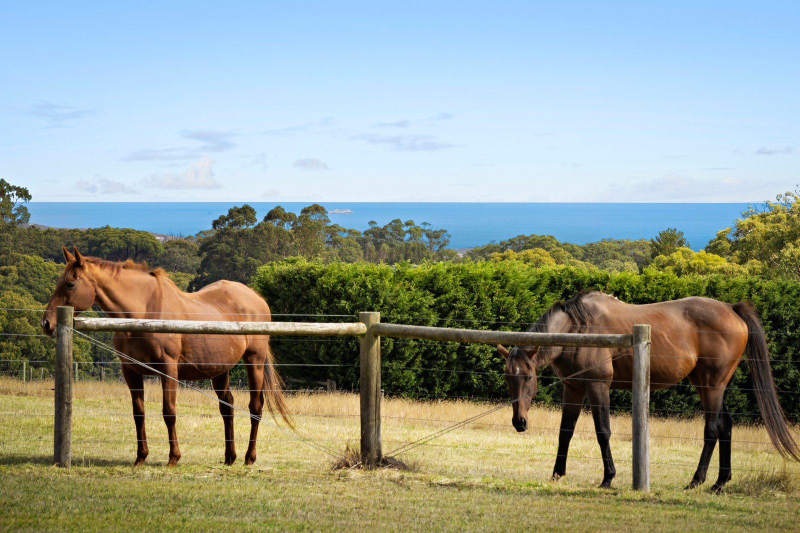 29 Seamists Drive, Arthurs Seat, 3936