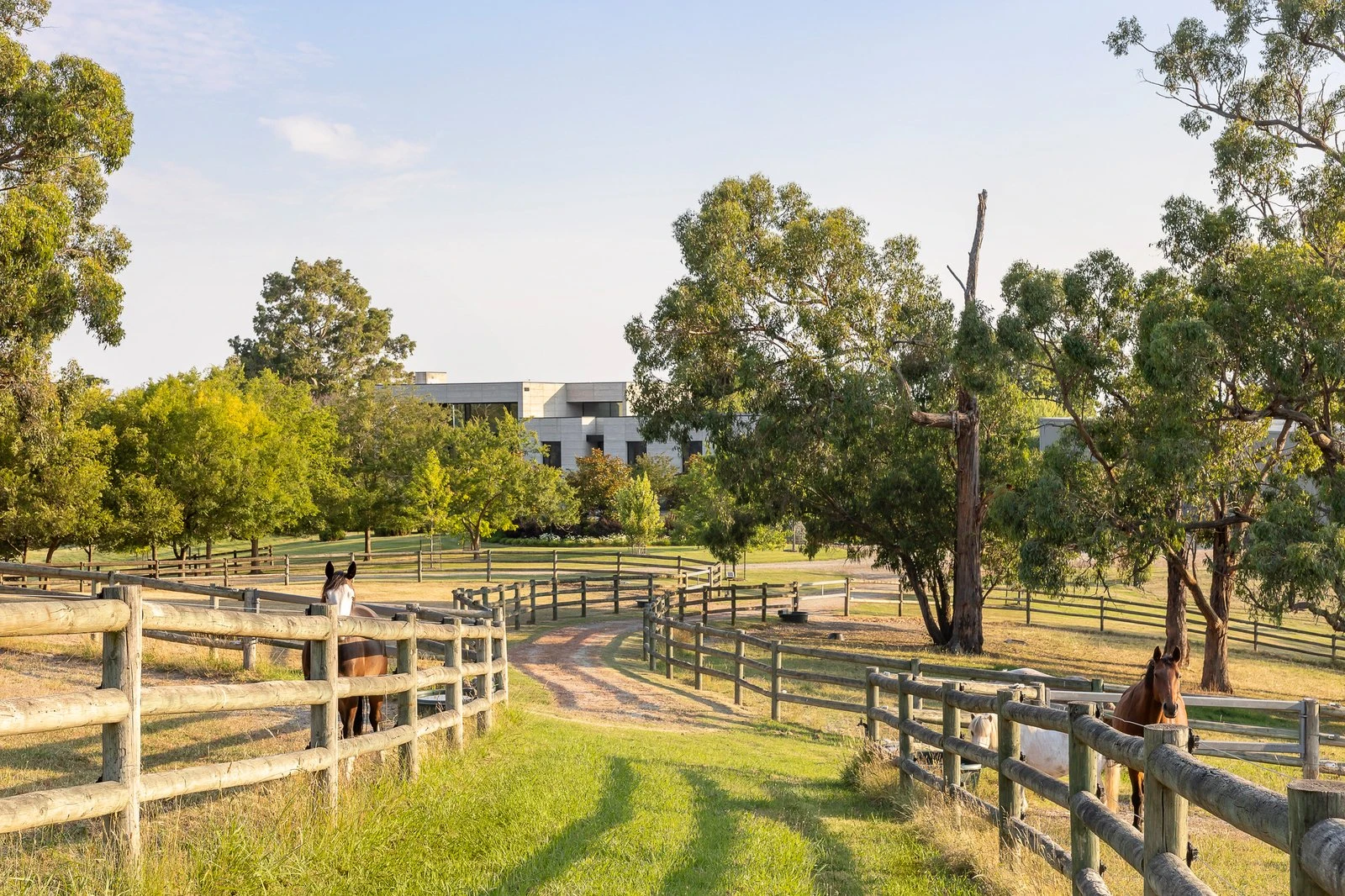 3 Hilden Drive, Harkaway, 3806