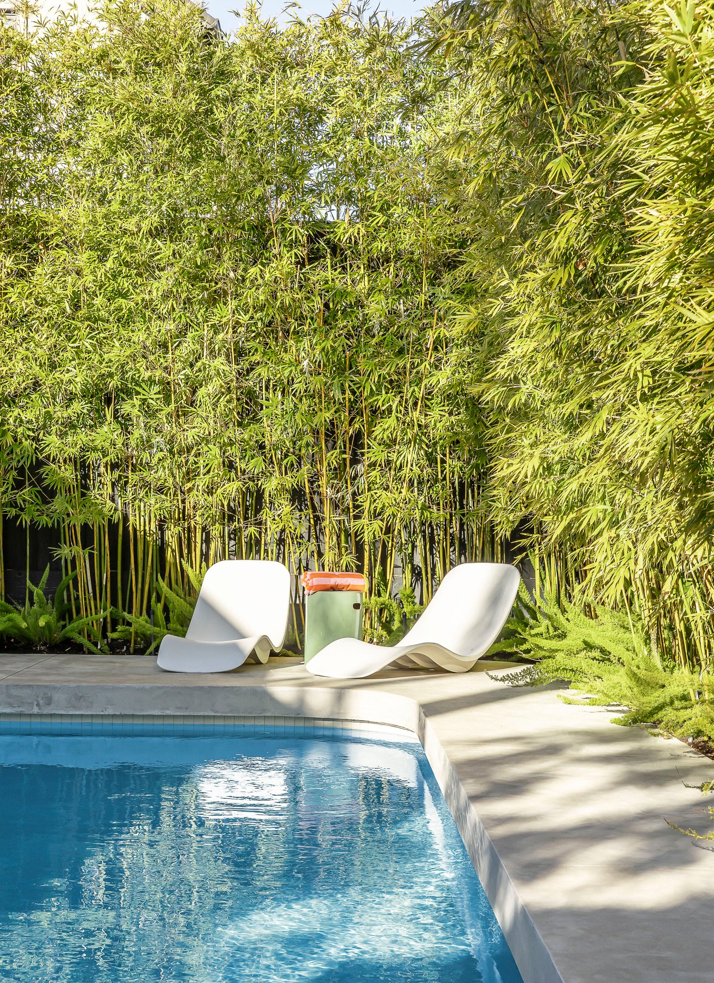 36 Martin Street, Brighton, 3186