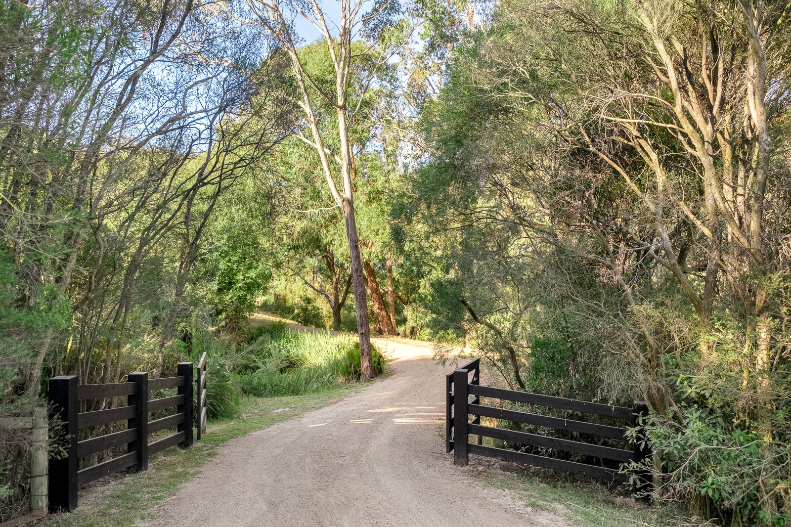 Arthurs Seat, 3936, 3936