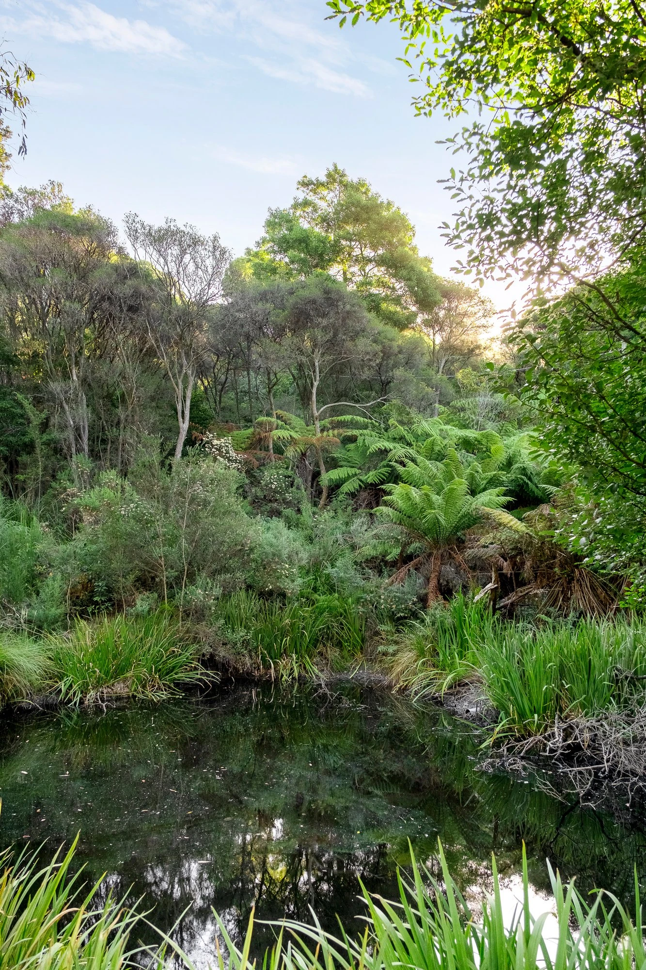 Arthurs Seat, 3936, 3936