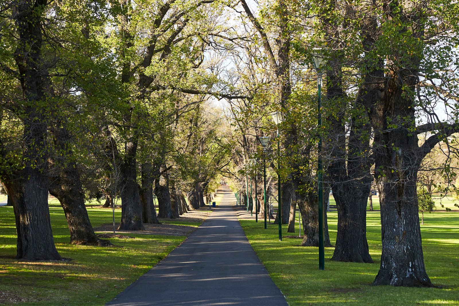 Residence 1 & 2/74 Leopold Street, South Yarra, 3141