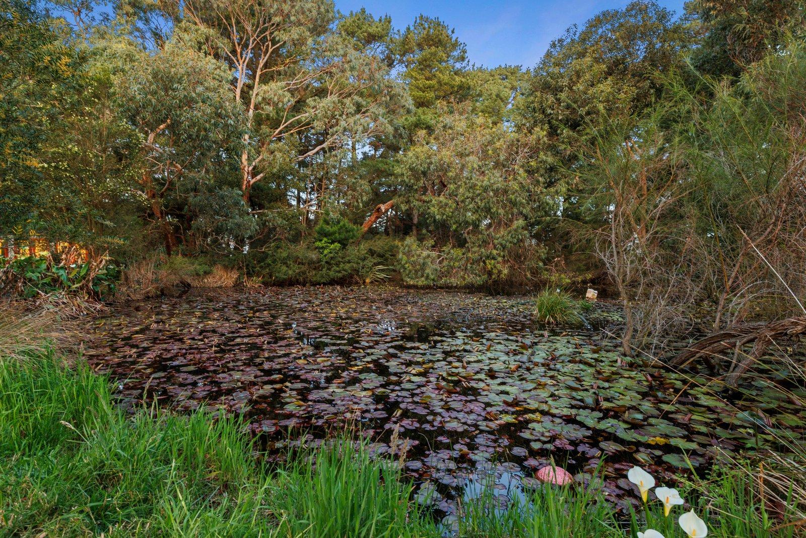 405 Stumpy Gully Road, Balnarring, 3926