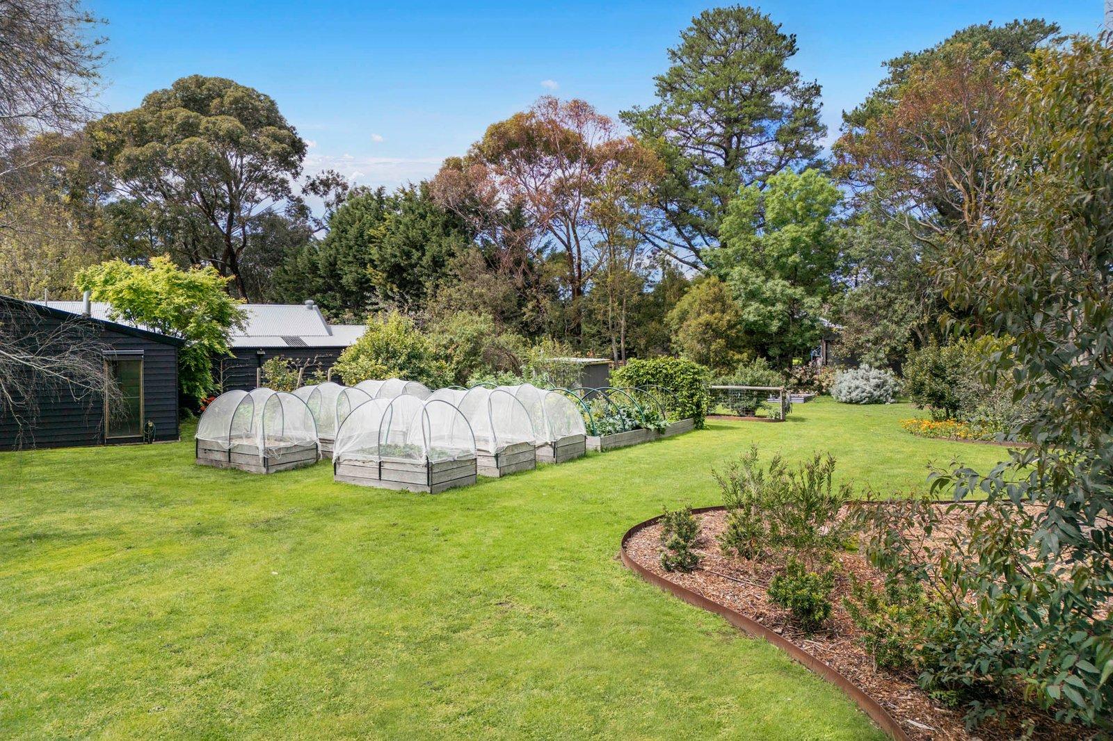 405 Stumpy Gully Road, Balnarring, 3926