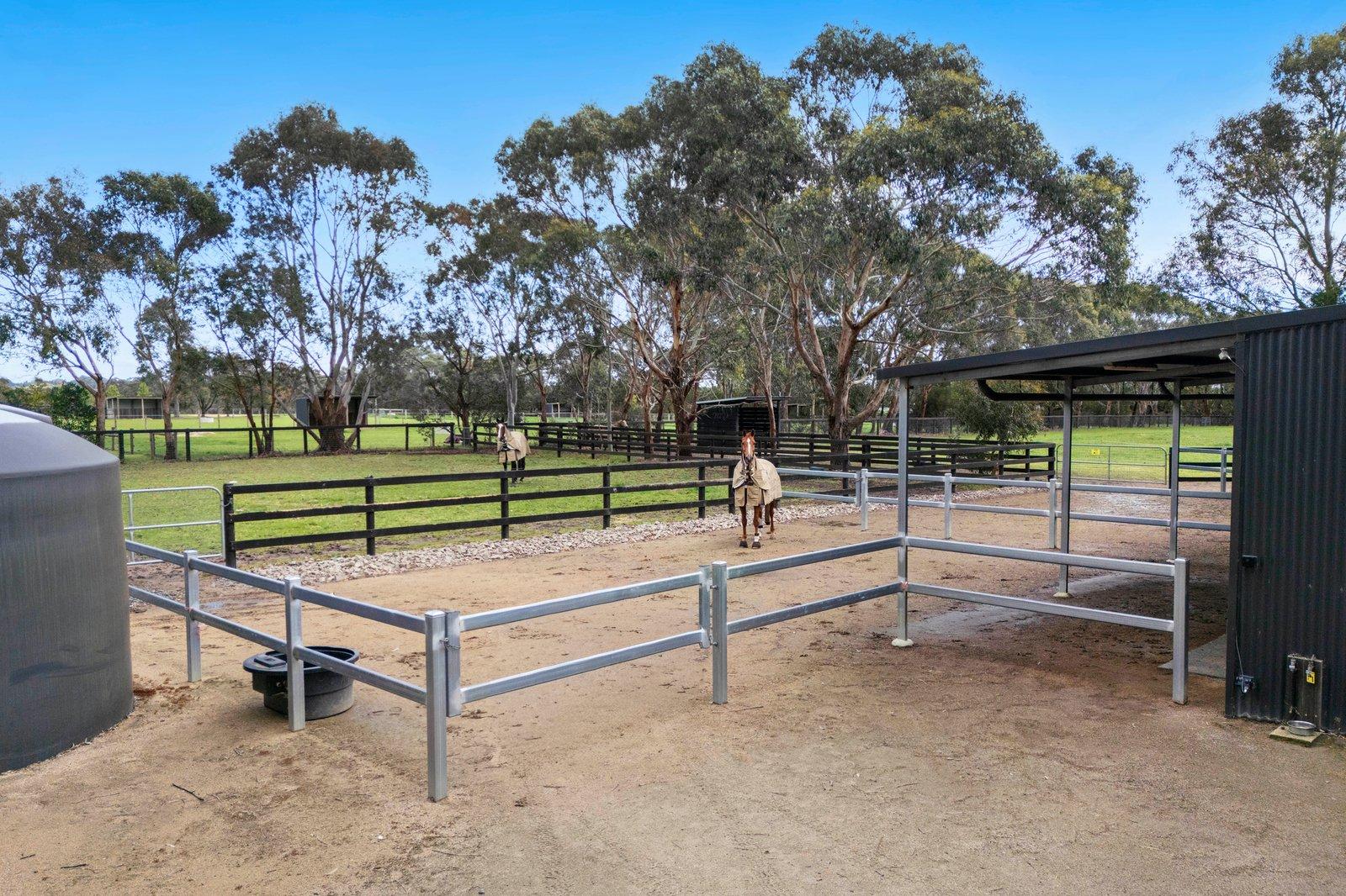 405 Stumpy Gully Road, Balnarring, 3926