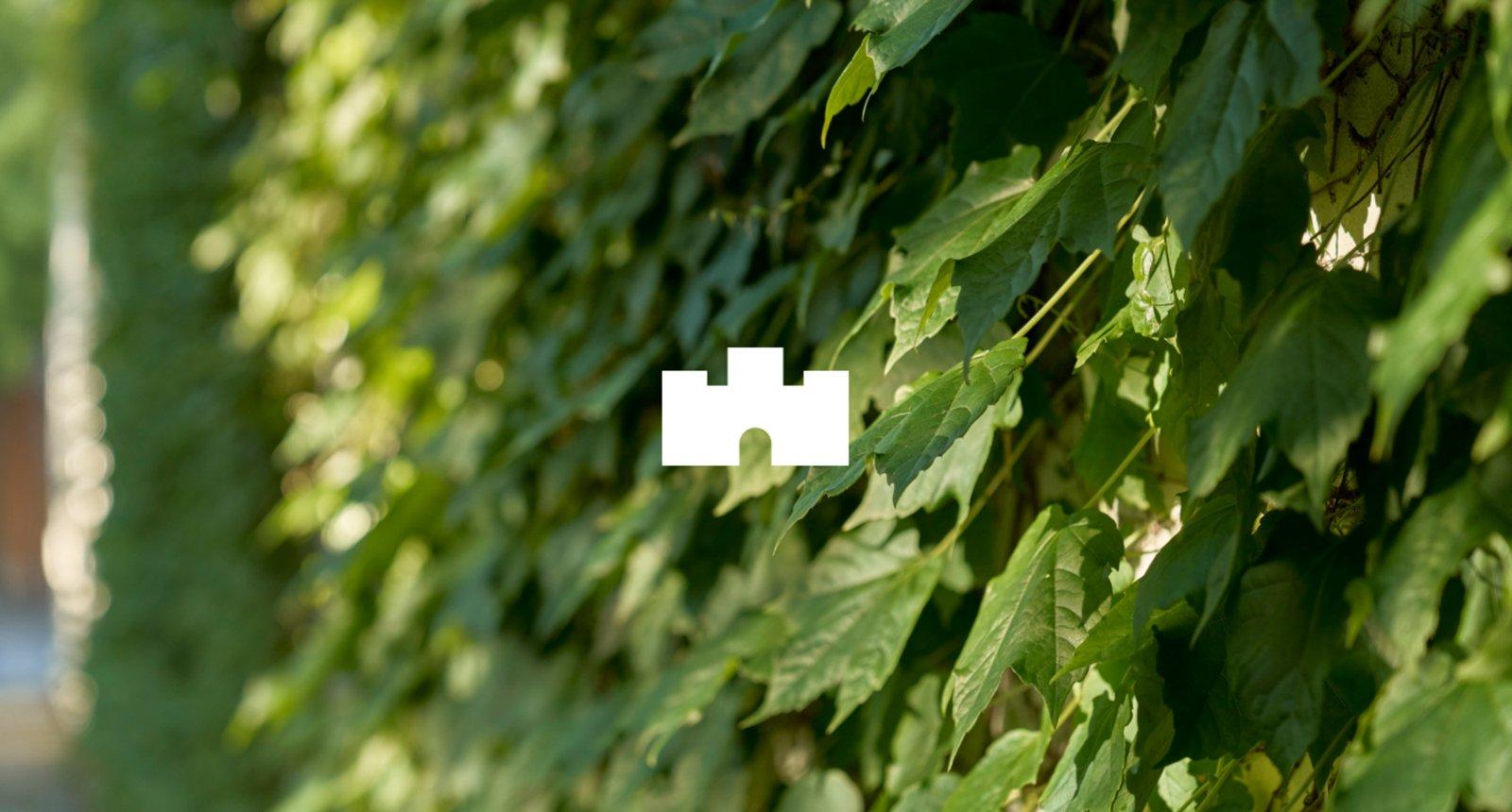 41 Barrett Street, Albert Park, 3206