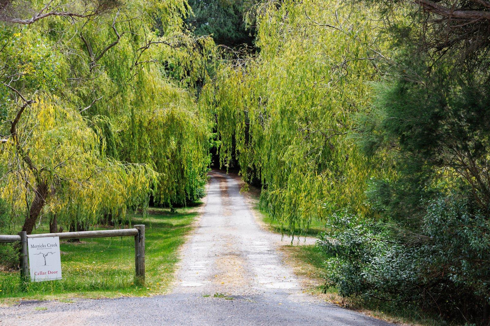 44 Merricks Road, Merricks, 3916