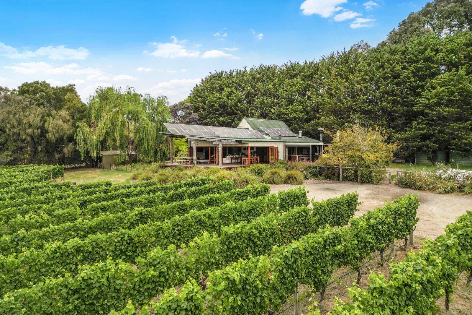 44 Merricks Road, Merricks, 3916