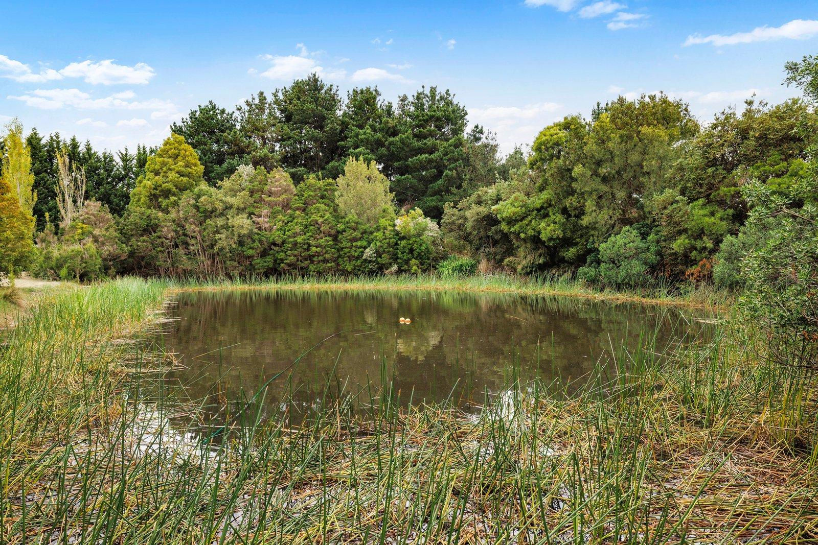 44 Merricks Road, Merricks, 3916