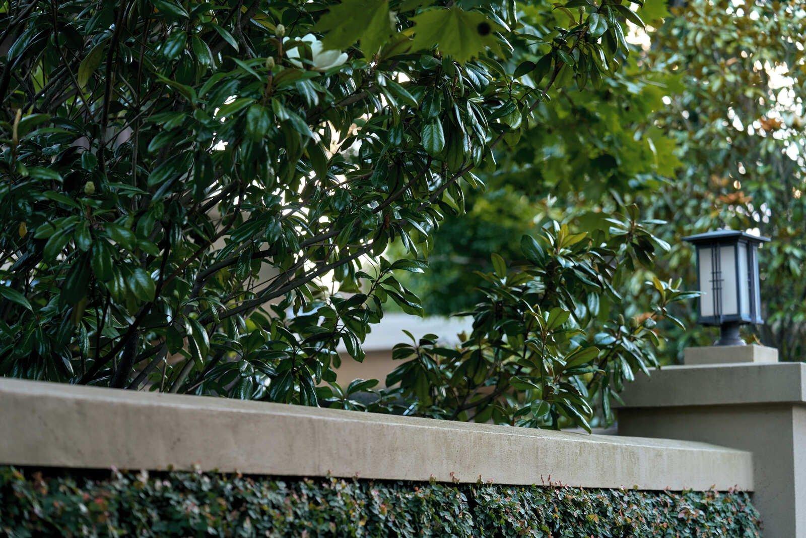 5 Younger Court, Kew, 3101