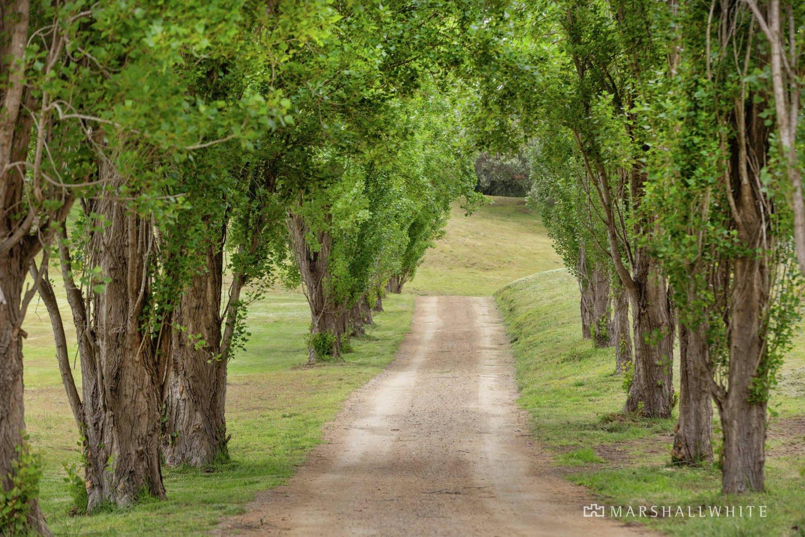 540 Truemans Road, Fingal, 3939