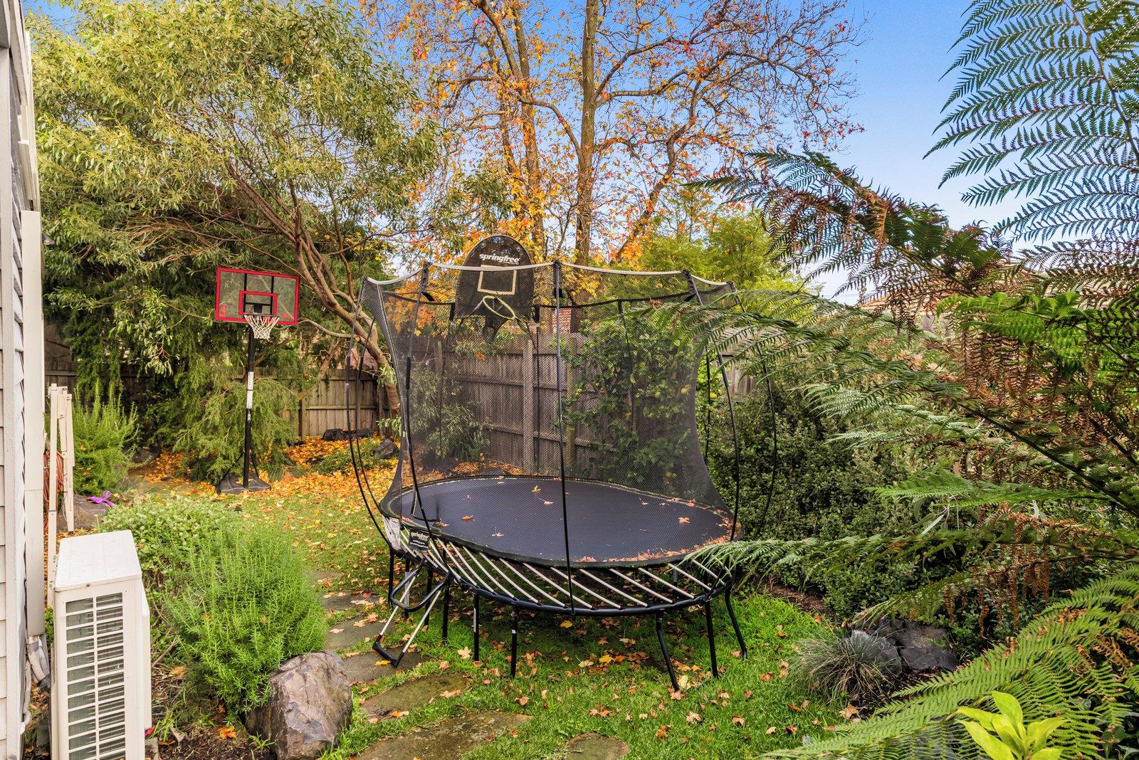 6 Boyle Street, Ashburton, 3147