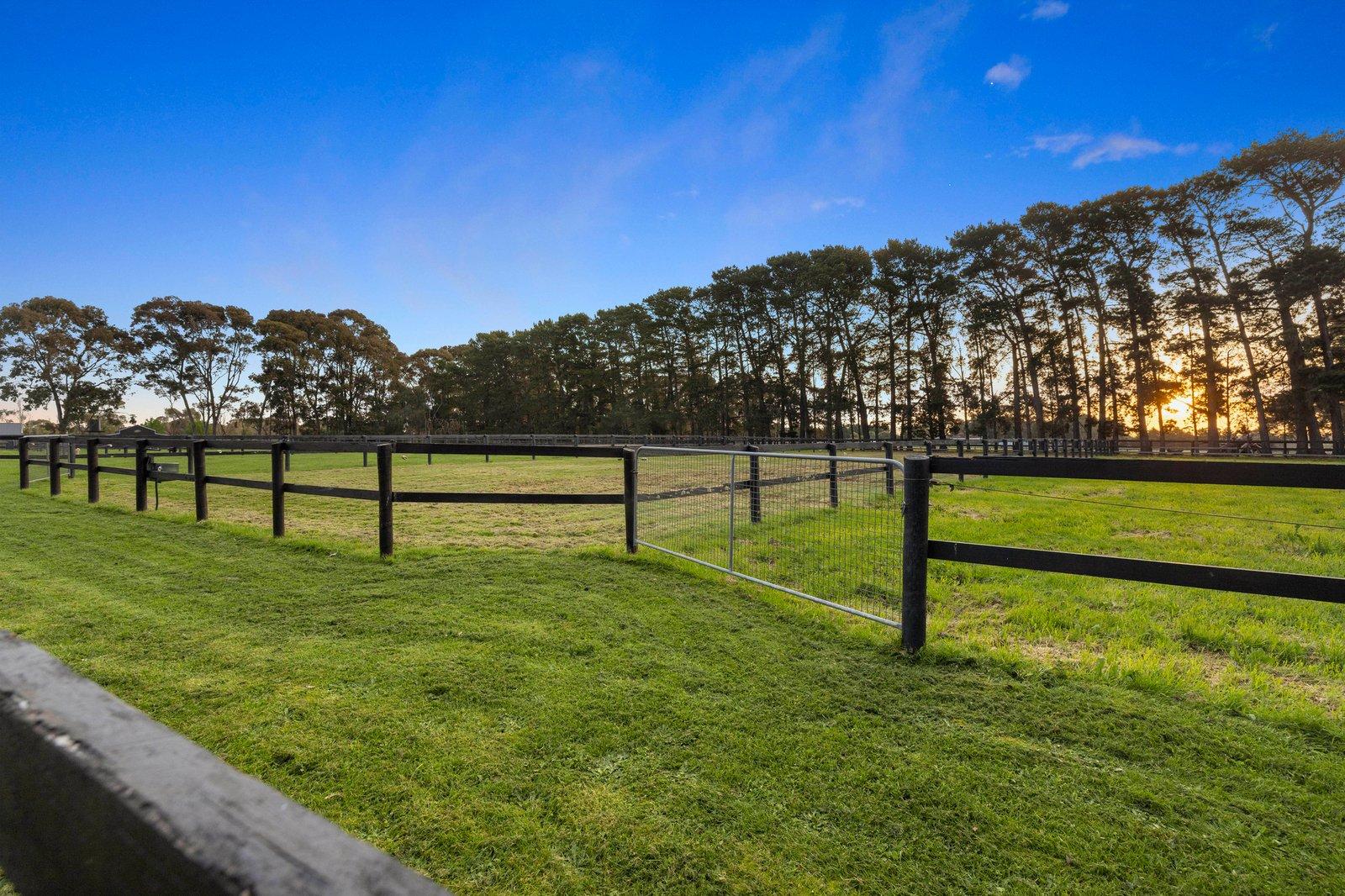 6 Shaw Road, Moorooduc, 3933