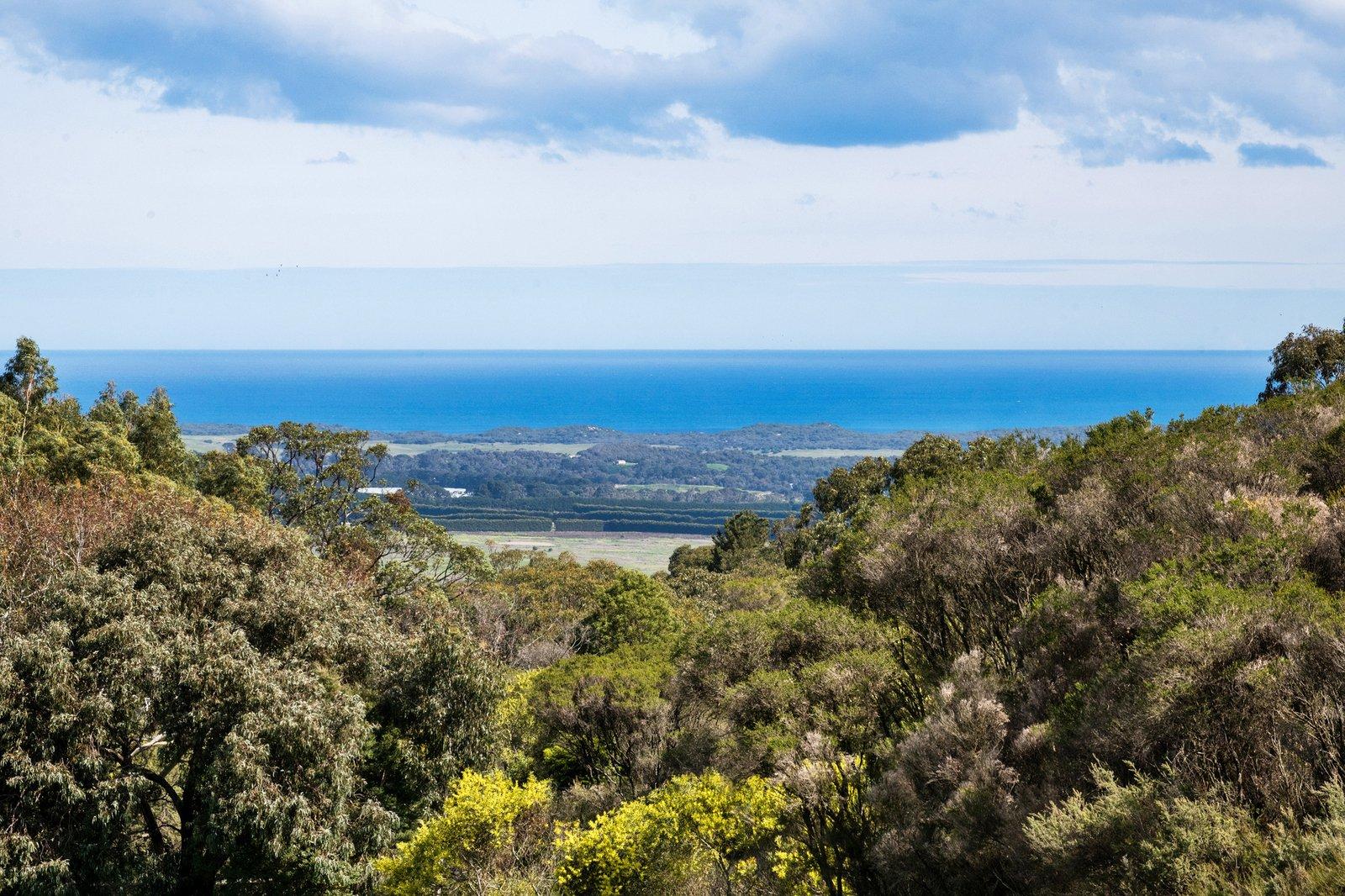 61 Waterfall Gully Road, Main Ridge, 3928