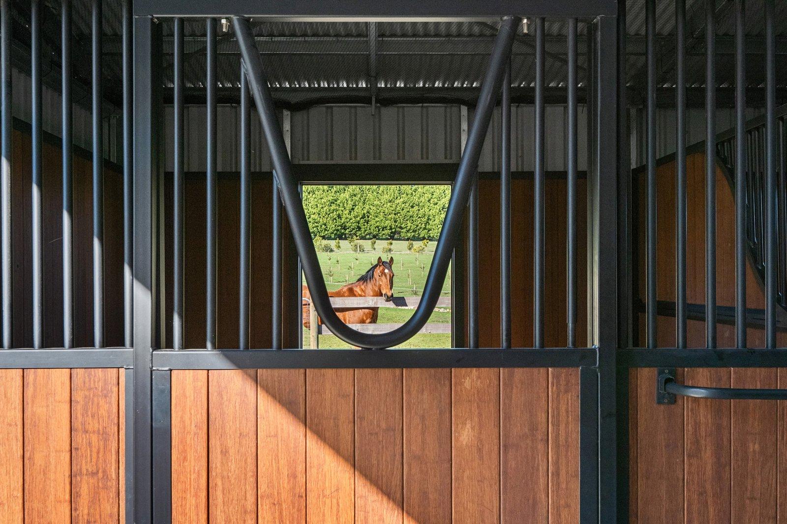 61 Waterfall Gully Road, Main Ridge, 3928