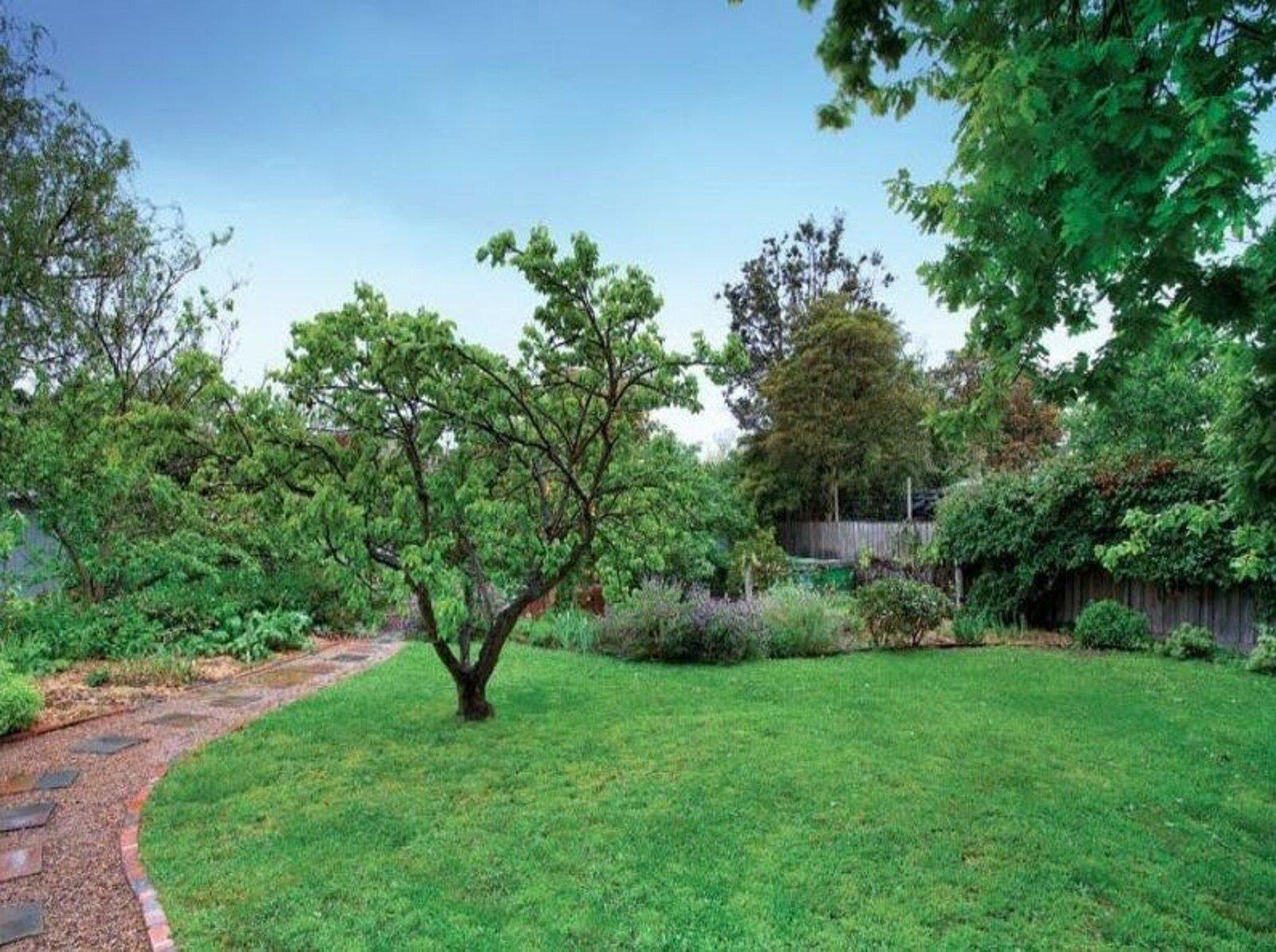 8 York Street, Mont Albert, 3127