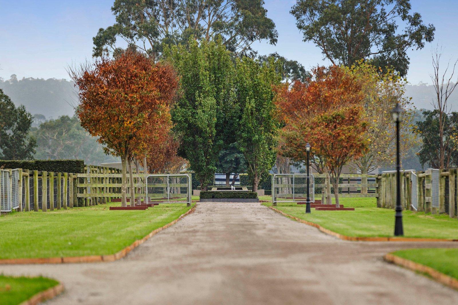 895 Derril Road, Moorooduc, 3933