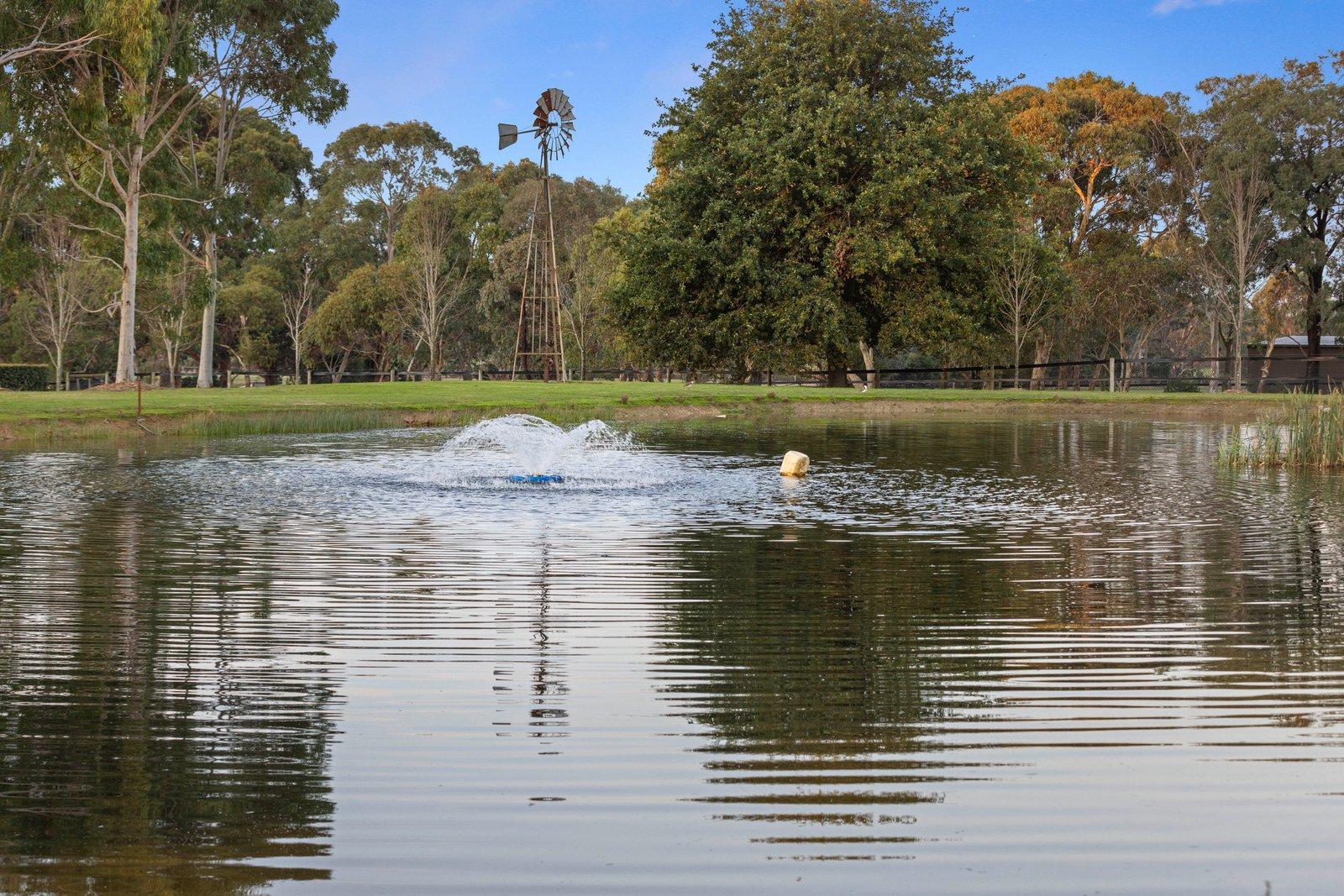 895 Derril Road, Moorooduc, 3933