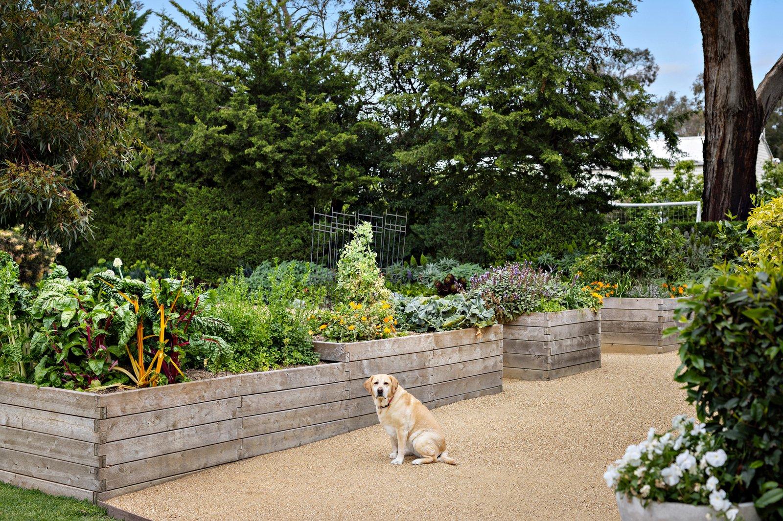 9 Fontayne Court, Frankston South, 3199