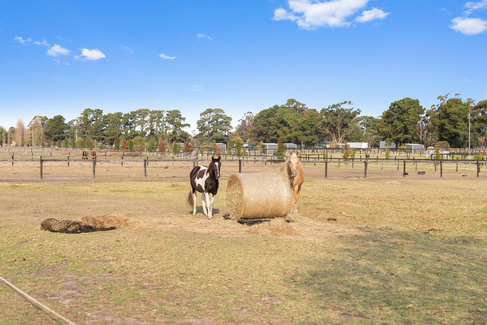 9 Pearcedale Road, Pearcedale, 3912