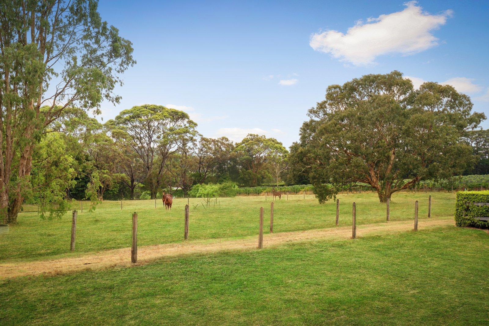 90 Thompsons Lane, Merricks, 3916