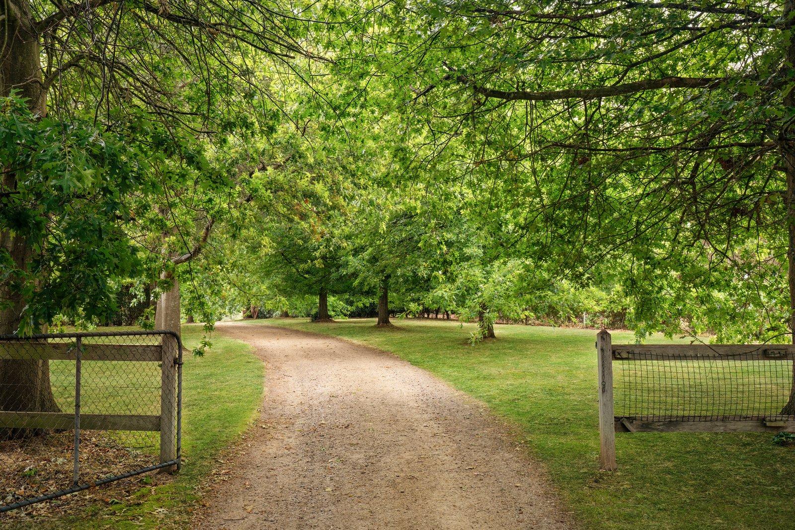 90 Thompsons Lane, Merricks, 3916