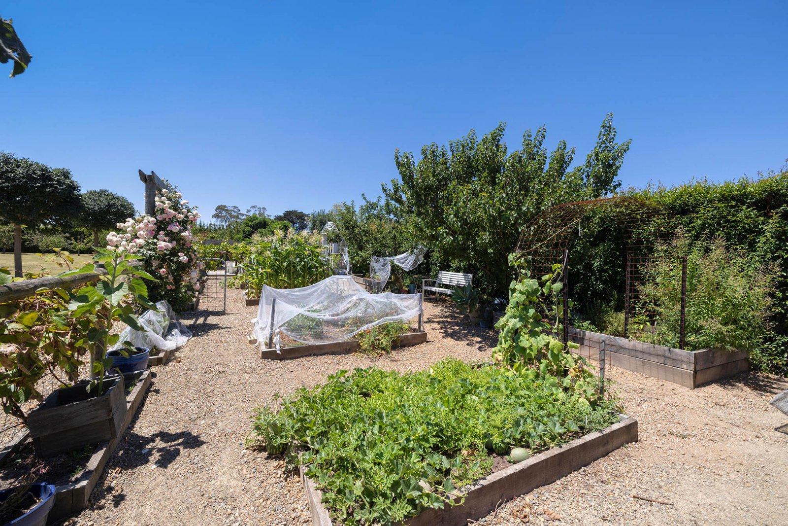 963 Frankston Flinders Road, Somerville, 3912